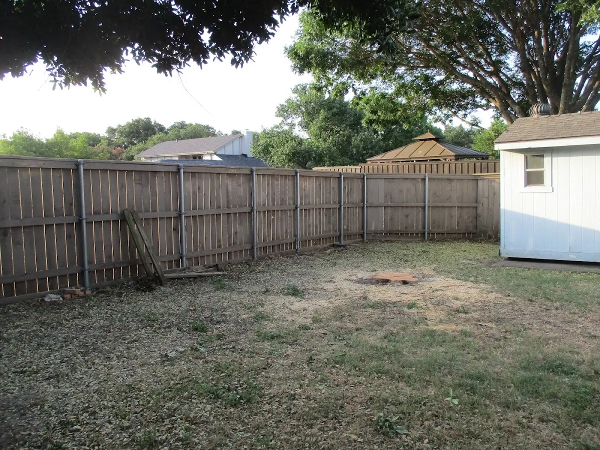 Cleared yard after professional tree removal in East Berlin